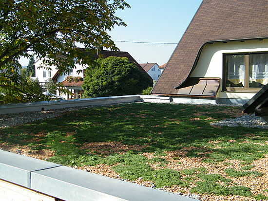 Folienbedachung des Kapellentraktes am Pflegeheim Lipp in Burlafingen mit extensiver Dachbegrünung